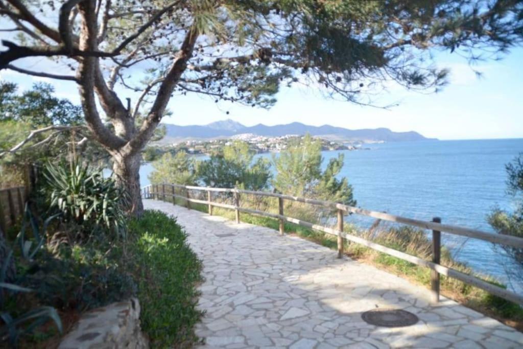 Residence Avec Piscine Face A La Mer, 1Ere Ligne Llança Exteriér fotografie